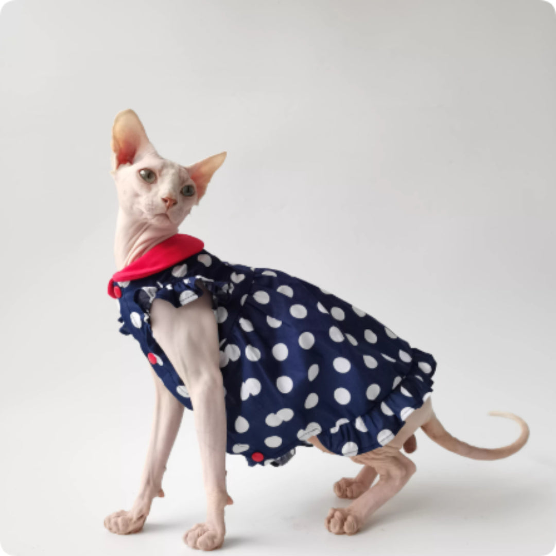 Hairless Cat Devon Summer Thin Doll Collar Princess Dress